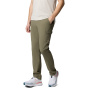 COLUMBIA Мужские брюки Tech Trail Utility Pant