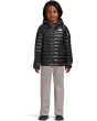 ThermoBall Hooded Jacket (Toddler)