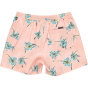 Quiksilver Мужские плавательные шорты Quik Volley