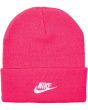 Peak Futura Beanie