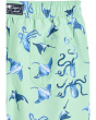 Printed Swim Trunk (Infant/Toddler/Little Kid/Big Kid)