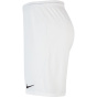 NIKE Мужские командные брюки Dri-FIT Park 3
