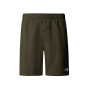 THE NORTH FACE Мужские шорты He/Uni M LIMESTONE SHORT