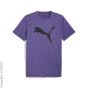 PUMA Тренировочная рубашка C46525368-4290