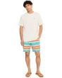 Baja Sarape Stripe 8