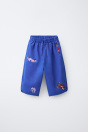 Zara МЕШКОВАТЫЕ БРЮКИ С ВЫШИВКОЙ SISSEL EDELBO X KIDS 507459700-420-18