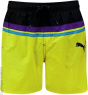 PUMA B&E Шорты C48314558-4290