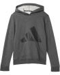 Essential Big Logo Fleece Heather Hooded Pullover (Big Kid)