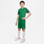 Nike Y Nk Df Трофей Jn99