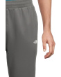 TNF™ Performance Fleece SW Pants