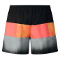 Quiksilver Мужские плавательные шорты