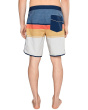 Lennox Scallop 19'' Boardshorts