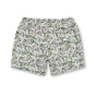 Pretty Green Мужские плавательные шорты Aquarelle