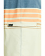 Hyperfreak Heat Stripe 20'' Boardshorts