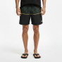 Quiksilver Мужские плавательные шорты