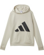 Essential Big Logo Fleece Hooded Pullover (Big Kid)