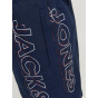 Jack and Jones Мужские плавательные шорты