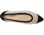 Daisy Flats