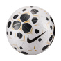 Футбол Nike Control 25
