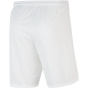 NIKE Мужские командные брюки Dri-FIT Park 3