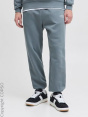 Jack & Jones Спортивные штаны C15185865-4292