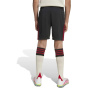 ADIDAS Штаны для детской команды Ливерпуль ФК 25/26 Аус_rts для детей