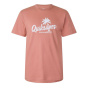 Quiksilver Мужская футболка