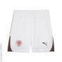 PUMA Тренировочные шорты C62511639-4297