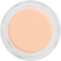 Kryolan Тональный крем для ухода за кожей лица Digital Foundation P 03 - 12 г