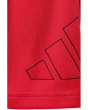 Essentials Big Logo Shorts