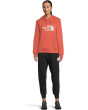 Evolution Half Dome Regular Hoodie