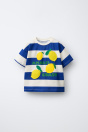 Zara Футболка В полоску С нашивками В ВИДЕ ФРУКТОВ 522683829-420-18