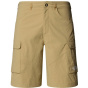 THE NORTH FACE Мужские шорты M EXPLORATION CARGO SHORT