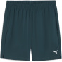 Puma Мужские спортивные шорты Tad 7in Performance