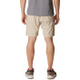 COLUMBIA Мужские шорты Silver Ridge™ Utility Cargo Short 10" (25 см)