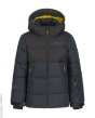 Icepeak Лыжная куртка C73062603-4297