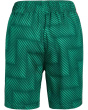 Aop World Soccer Shorts (Big Kid)