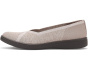 Award Ballerina/Skimmer Shoes