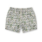 Pretty Green Мужские плавательные шорты Aquarelle