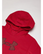 Fleece Big Logo Hoodie (Big Kids)