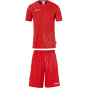 UHLSPORT Количество набранных очков в футболке 26