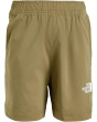 The North Face Kids Шорты Lightrange 5 дюймов (для маленьких детей/для больших детей)