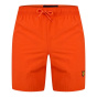 Lyle and Scott Мужские плавательные шорты