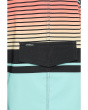Lennox Stripe 21'' Boardshorts