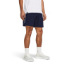 UNDER ARMOUR Мужские шорты UA тканые шорты WDMK
