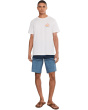 Lennox Stripe 21'' Boardshorts