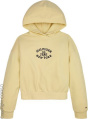 Tommy Hilfiger Толстовка с капюшоном C94072605-4297