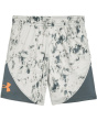 Printed Logo Shorts (Little Kid)