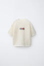 Zara ТРИКОТАЖНАЯ ФУТБОЛКА С ДОМАШНЕЙ ВЫШИВКОЙ 509039729-712-18