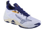 Мужская волейбольная обувь Mizuno Wave Momentum 3 45